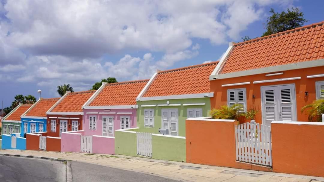 Royal Palm Resort Curacao Geweldig Zeezicht ウィレムスタッド エクステリア 写真