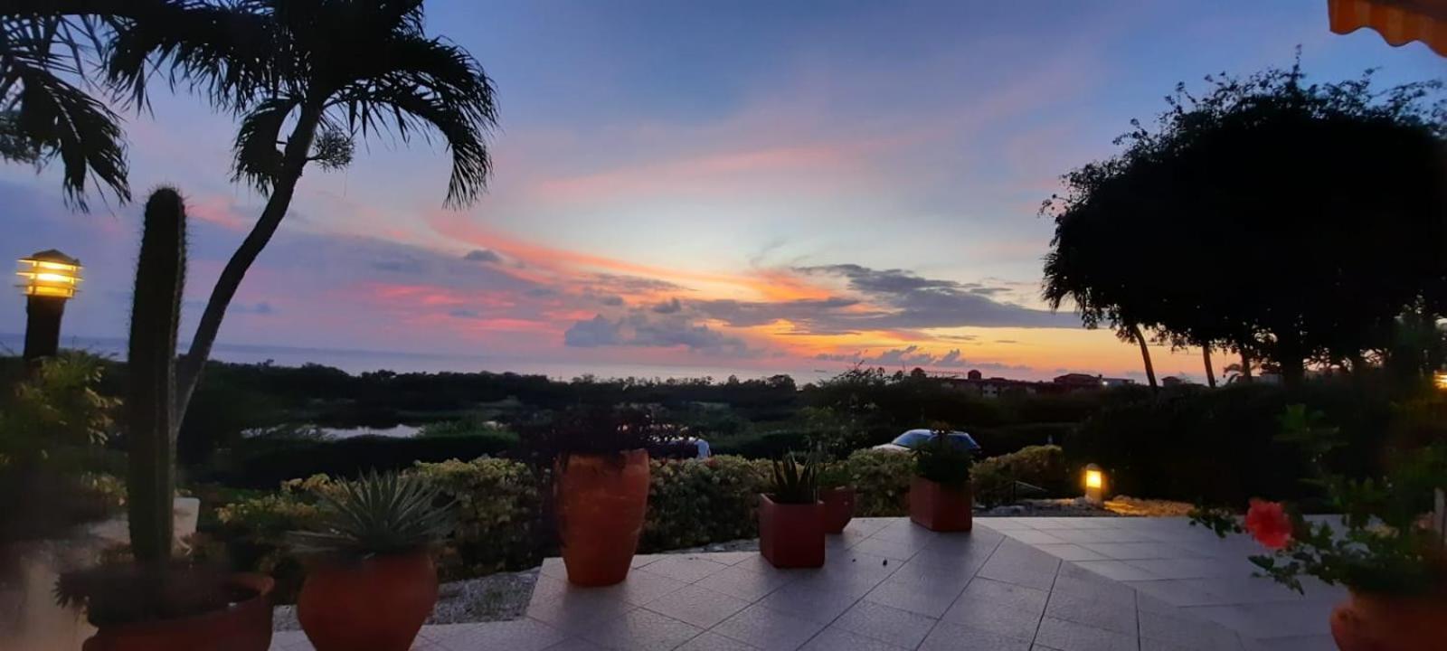 Royal Palm Resort Curacao Geweldig Zeezicht ウィレムスタッド エクステリア 写真