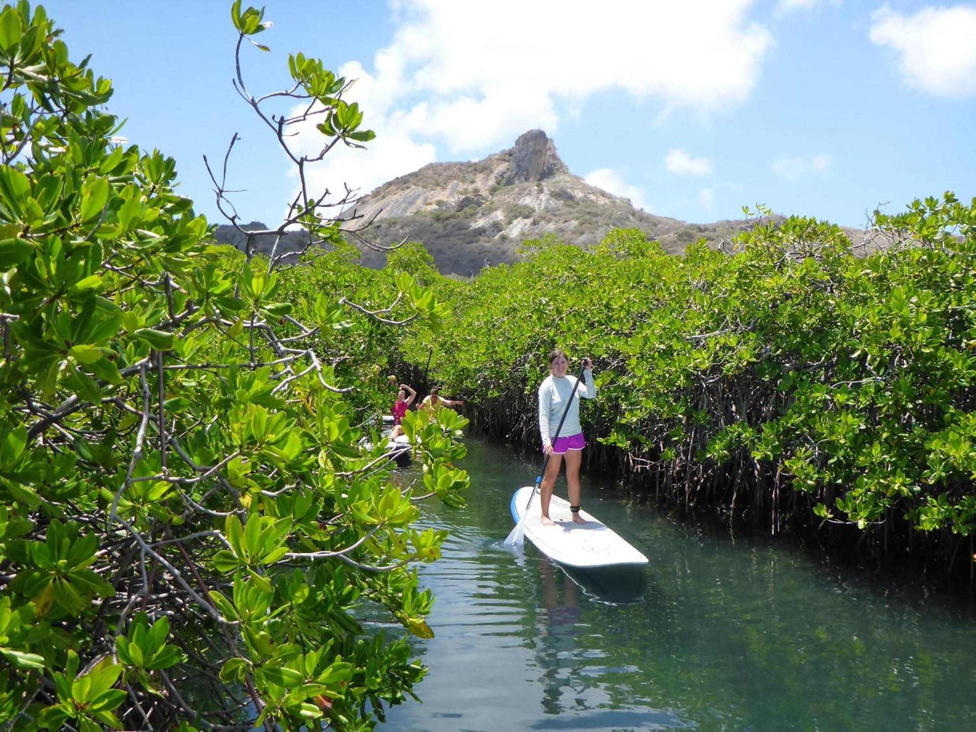 Royal Palm Resort Curacao Geweldig Zeezicht ウィレムスタッド エクステリア 写真