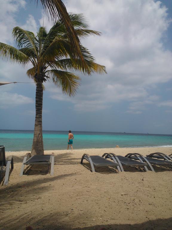Royal Palm Resort Curacao Geweldig Zeezicht ウィレムスタッド エクステリア 写真
