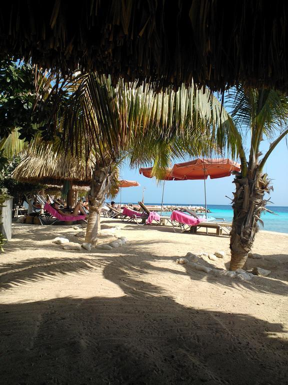 Royal Palm Resort Curacao Geweldig Zeezicht ウィレムスタッド エクステリア 写真